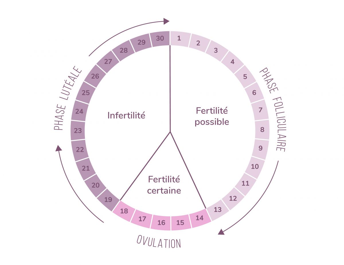 Tomber enceinte pendant les règles | Contraception Diaphragme